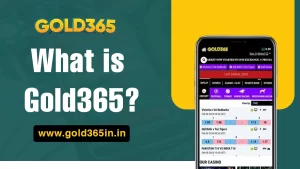 Read more about the article What is Gold365?
